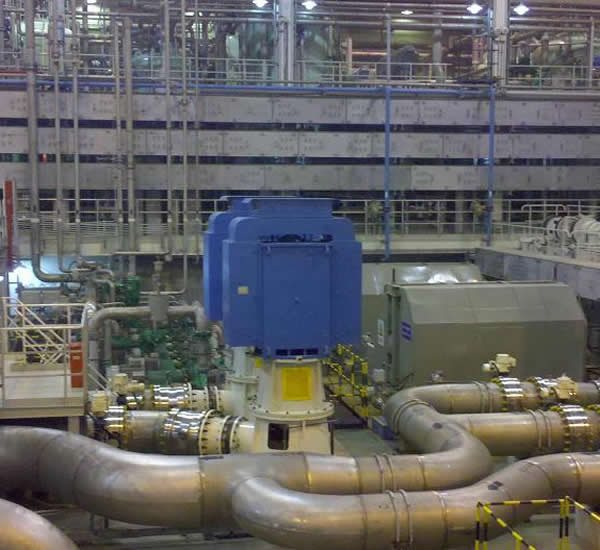 田湾核电立式长轴泵