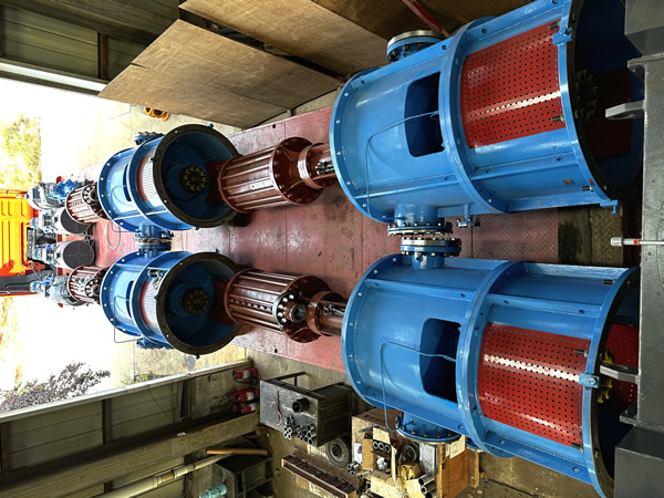 立式筒袋式凝结水泵技术探讨